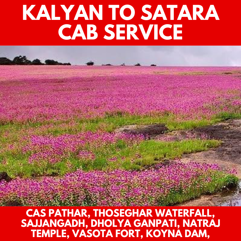 Cab